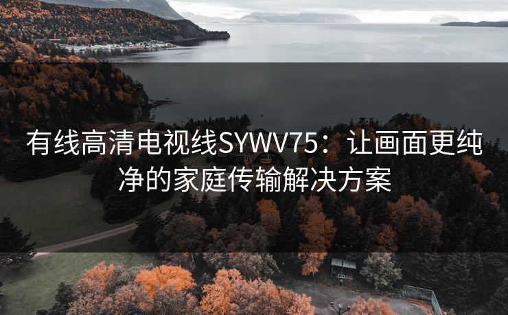 有线高清电视线SYWV75：让画面更纯净的家庭传输解决方案