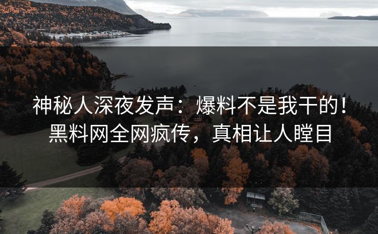 神秘人深夜发声：爆料不是我干的！黑料网全网疯传，真相让人瞠目