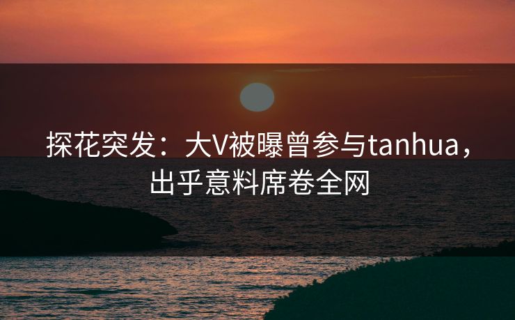 探花突发：大V被曝曾参与tanhua，出乎意料席卷全网