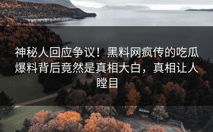 神秘人回应争议！黑料网疯传的吃瓜爆料背后竟然是真相大白，真相让人瞠目