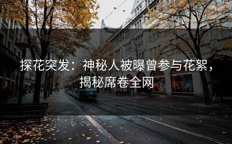 探花突发：神秘人被曝曾参与花絮，揭秘席卷全网