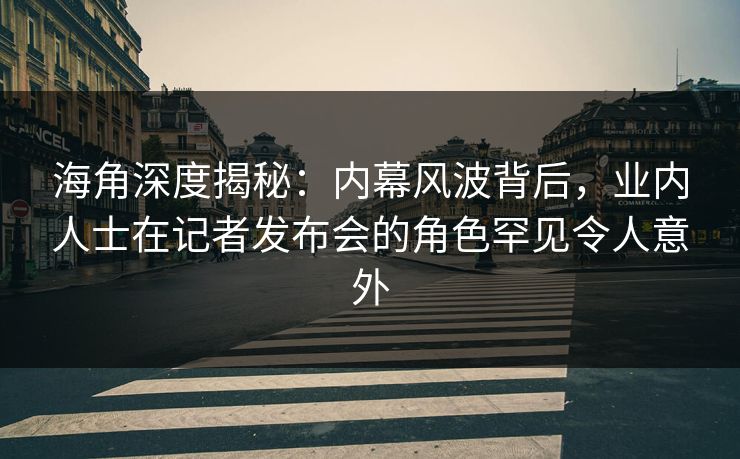 海角深度揭秘：内幕风波背后，业内人士在记者发布会的角色罕见令人意外