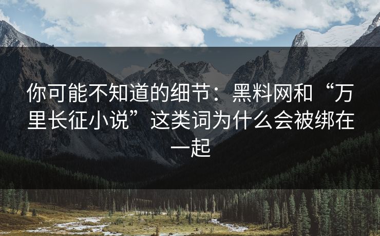 你可能不知道的细节：黑料网和“万里长征小说”这类词为什么会被绑在一起